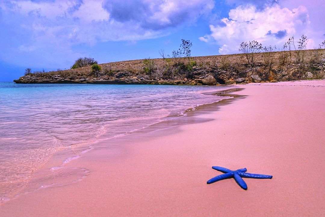 paket tour pantai pink
